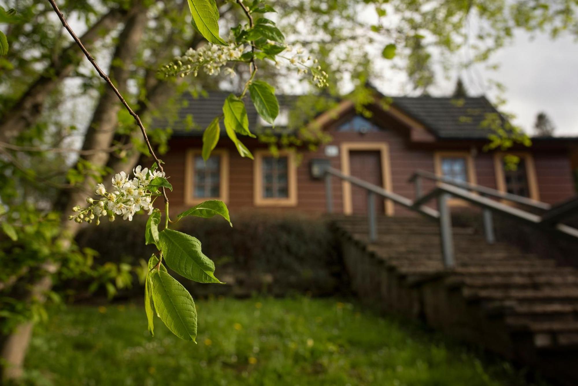 Chata Krajinka Ždiar Exterior foto