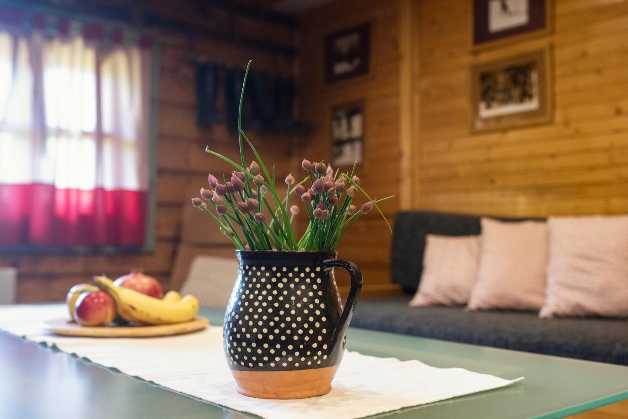Chata Krajinka Ždiar Exterior foto